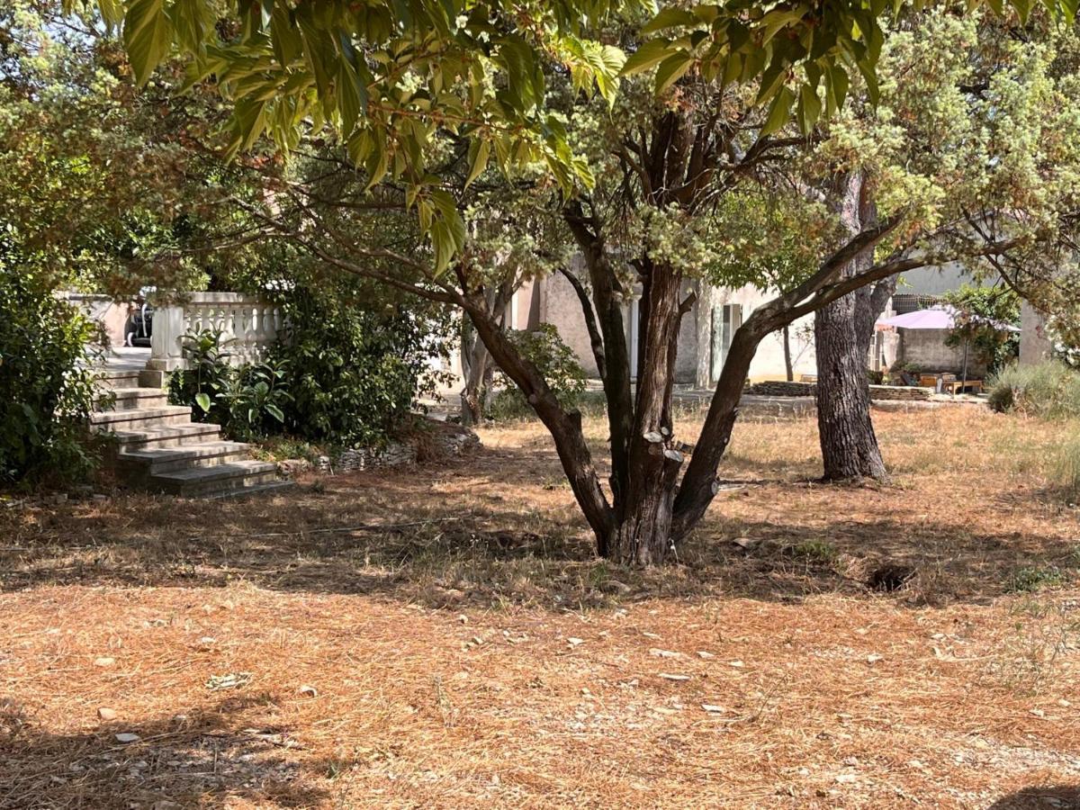 נים Maisonnette Independante Avec Jardin/Patio מראה חיצוני תמונה